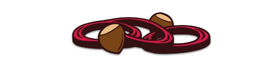 Compotée oignon marron