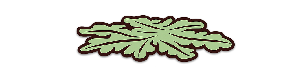 Salade Iceberg